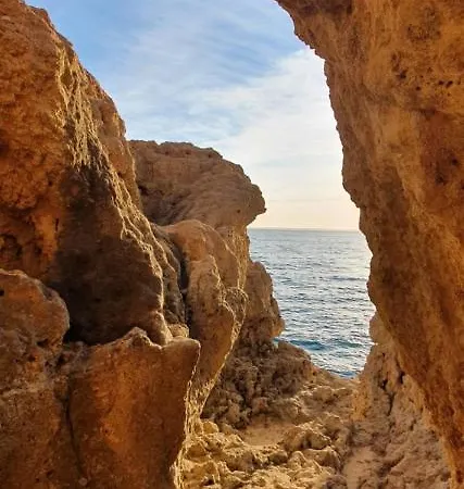 New Appartment! Appartement *