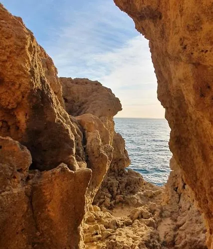 New Appartment! דירה *